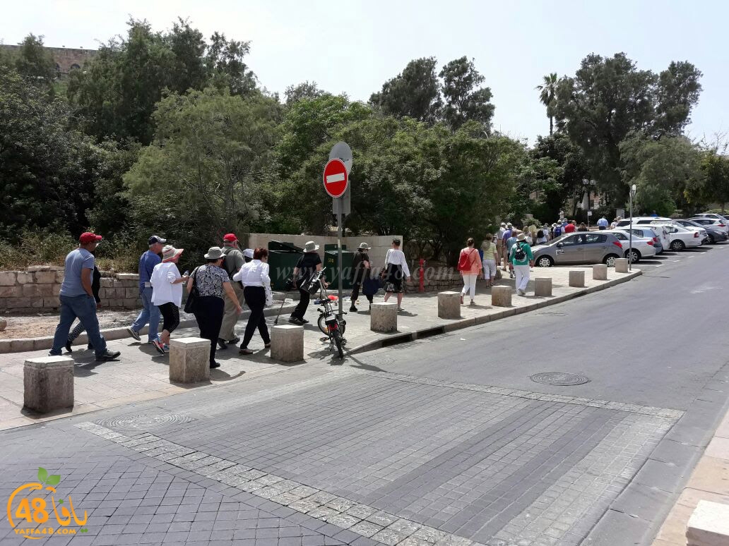 yaffa seya7a (5).jpg